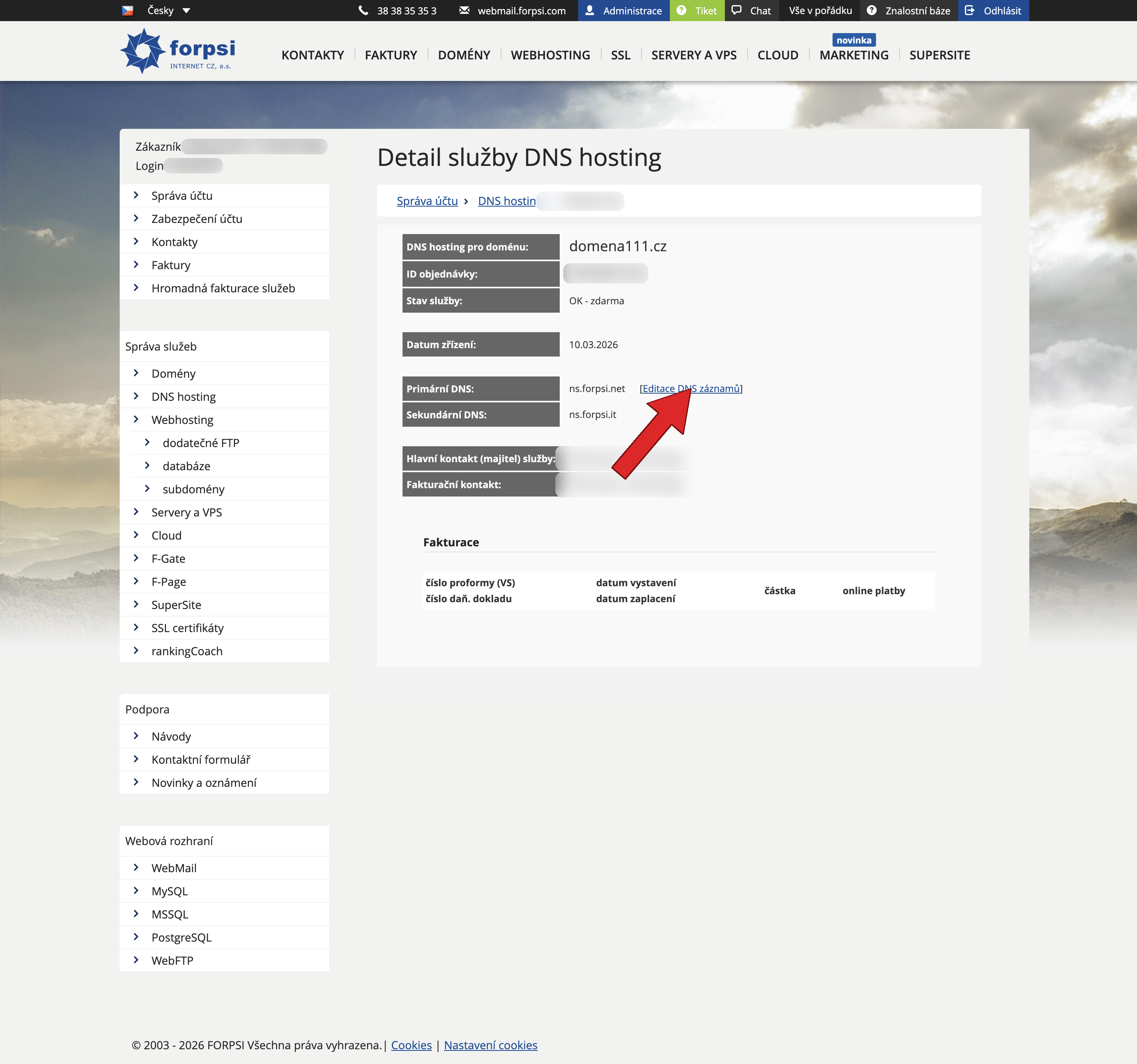 Step 3: DNS hosting service detail